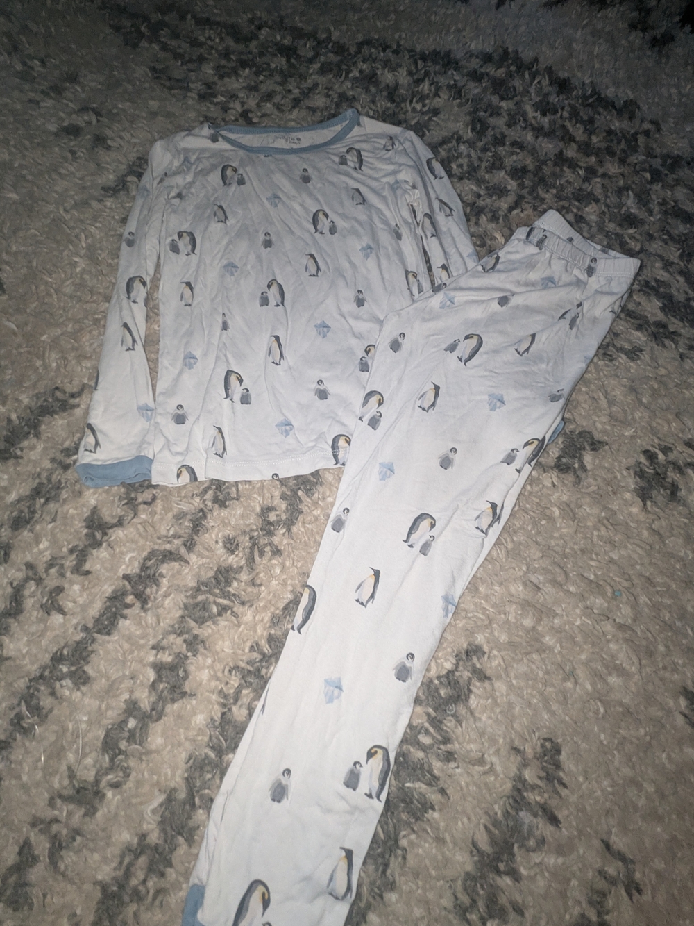 Kyte BABY Light Blue Penguin Pajama Set for Kids